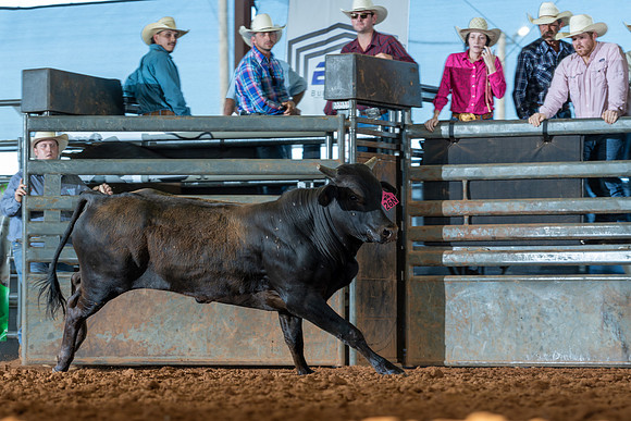 2026_June_20_Erick_OK_382