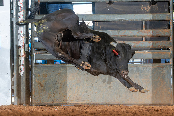 2026_June_20_Erick_OK_448