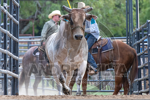 2020_Aug_29_ABBI_048