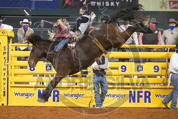 2020_Dez_09_WNFR_Bareback_Tim OConnell_125
