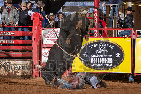 2021_Jan_01_ABBI_290