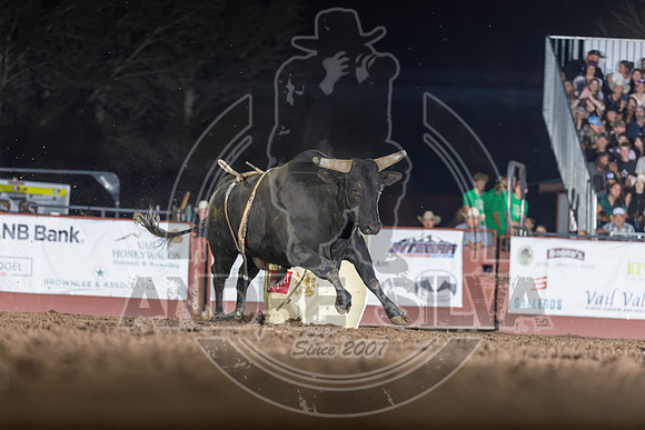 20260724_EagleCO_BR_Dale Borntrager_555_ASilva