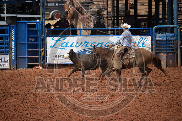 2024_July_06_Ranch_Horse_Competition_3904