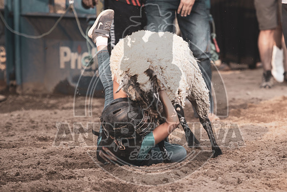 24_July_24_Eagle_CO_080