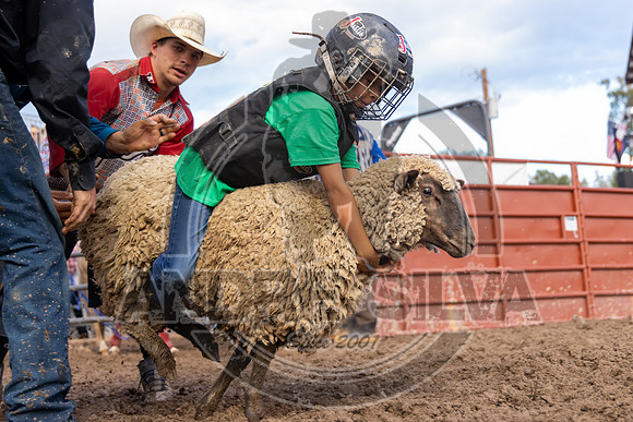 2024 Eagle_Mutton Busting__2600-AndreSilva