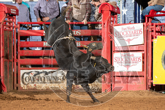 2021_Jan_02_ABBI_417
