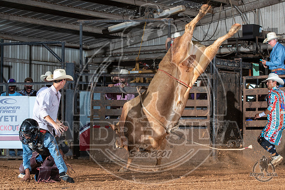 2020_July_18_ABBI_123