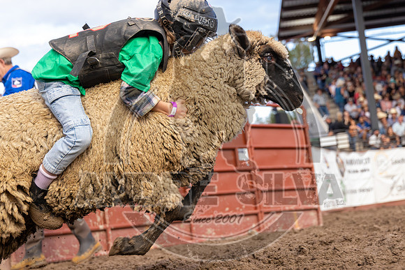 2024 Eagle_Mutton Busting__2595-AndreSilva