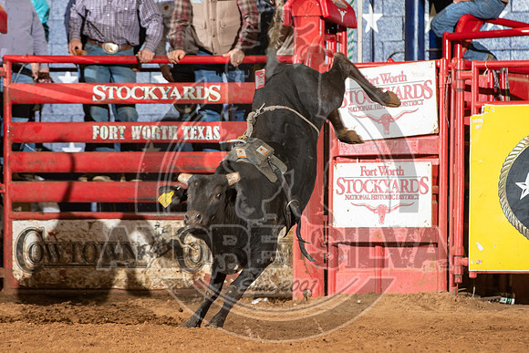 2021_Jan_02_ABBI_416