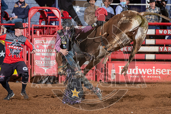2021_Jan_01_ABBI_205
