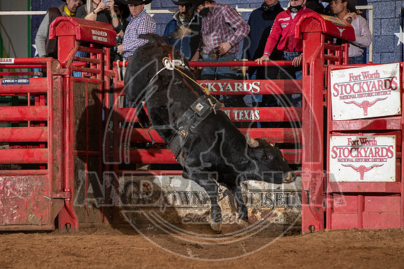 2021_Jan_01_ABBI_147