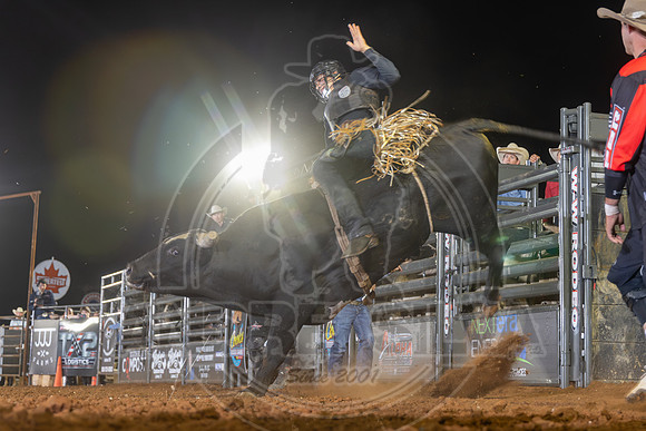 2026_Oct_08_292