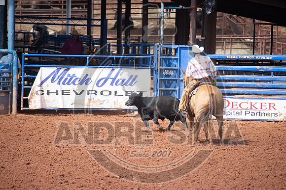 2024_July_06_Ranch_Horse_Competition_3750
