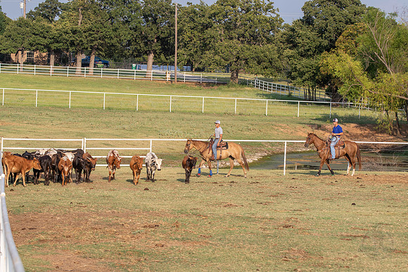 08_05_19_Vieira_Ranch_014_Silva