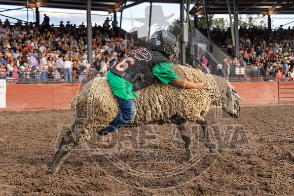 2024 Eagle_Mutton Busting__2581-AndreSilva