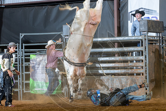 2026_September_16_344
