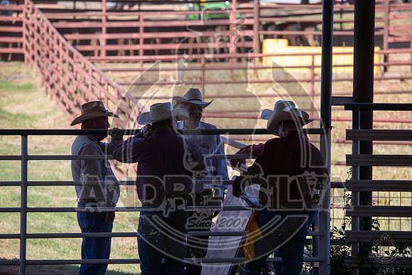 2023_June_28_Stamford_001