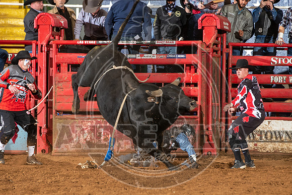 2021_Jan_02_ABBI_408
