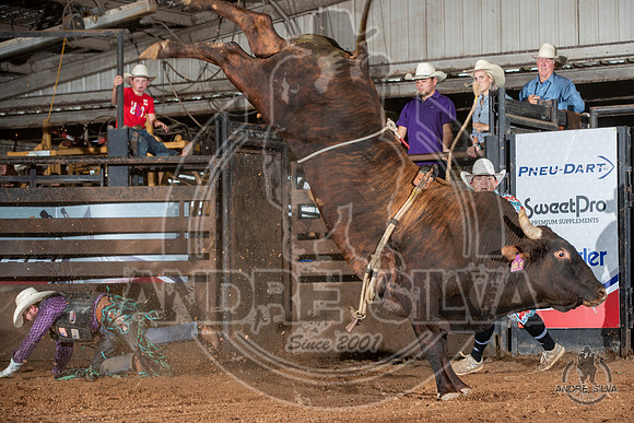 2020_July_18_ABBI_143