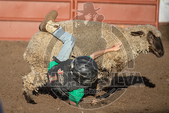 2024 Eagle_Mutton Busting_1572-AndreSilva
