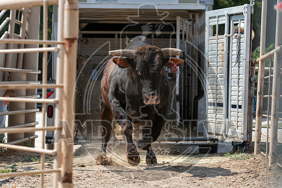 2020_Aug_29_ABBI_030