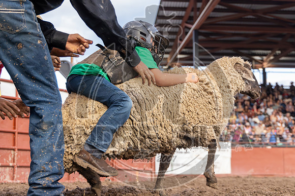 2024 Eagle_Mutton Busting__2596-AndreSilva