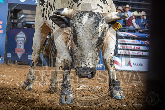 08_03_19_Allen_TX_PBR_328_Silva