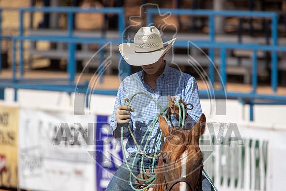 2024_July_02_Team_Roping_095