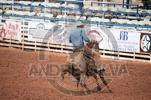 2024_July_06_Ranch_Horse_Competition_3844