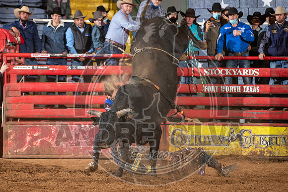 2021_Jan_02_ABBI_561
