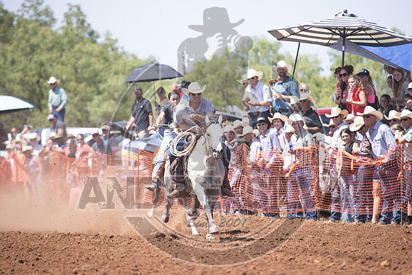 2024_July_06_Matched_Horse_Races_4108