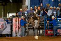 2020_08_01_Mesquite_Bareback_Montana_Kaden_Kornegay_135