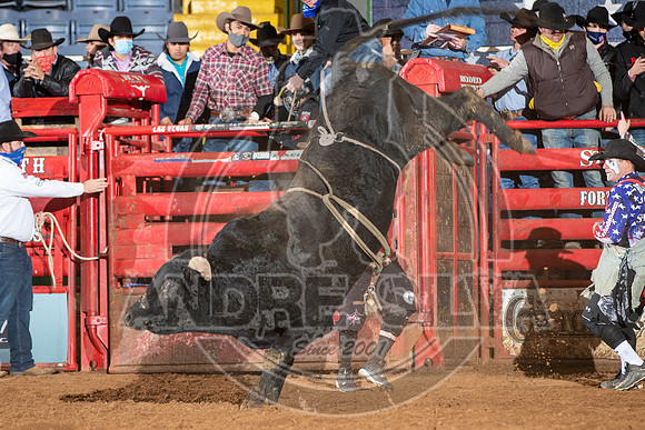 2021_Jan_01_ABBI_088
