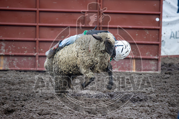 2024 Eagle_Mutton busting_2449-AndreSilva