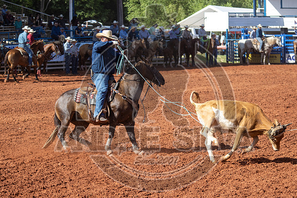2024_July_02_Team_Roping_073