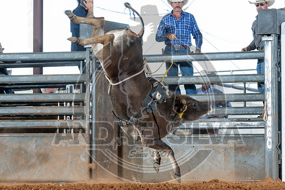 2025_May_24_Erick_OK_090