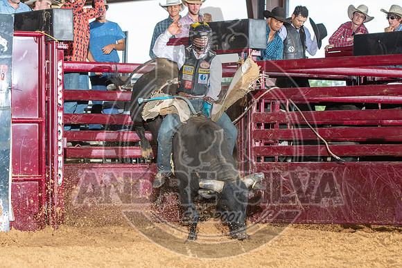 20_May_09_ABBI_231