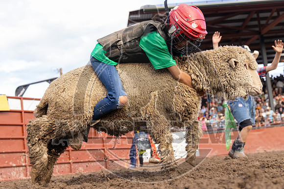 2024 Eagle_Mutton Busting__2588-AndreSilva