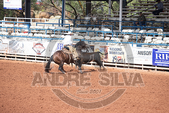 2024_July_06_Ranch_Horse_Competition_3795