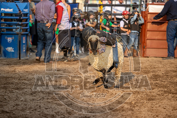 24_July_24_Eagle_CO_085