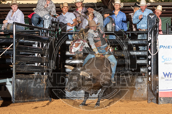 2020_Aug_29_ABBI_110