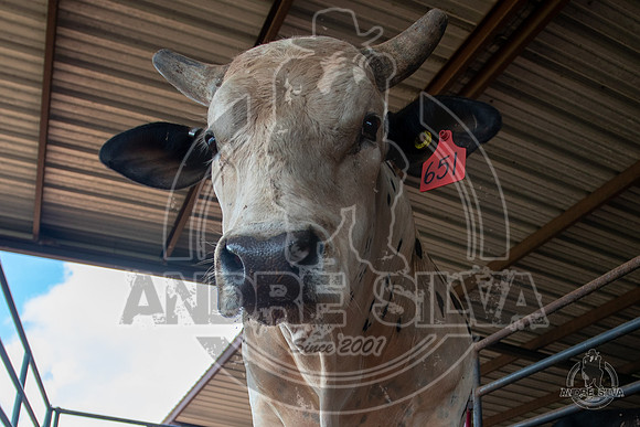 2020_July_18_ABBI_033