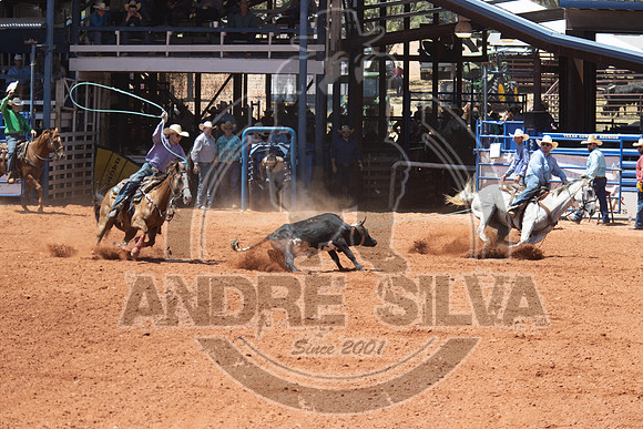 2024_July_02_Team_Roping_350