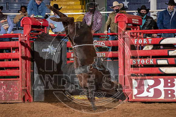 2021_Jan_01_ABBI_156