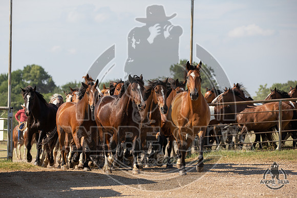 06_14_19_Cleburne__235_Silva