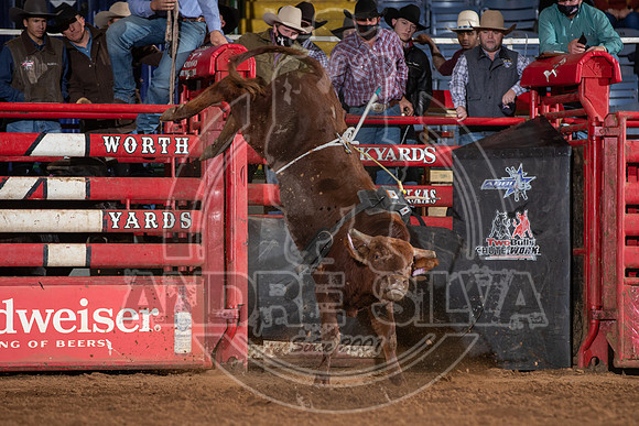 2021_Jan_01_ABBI_163