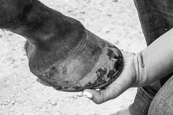 2020_July_25_PatyCowgirl_113