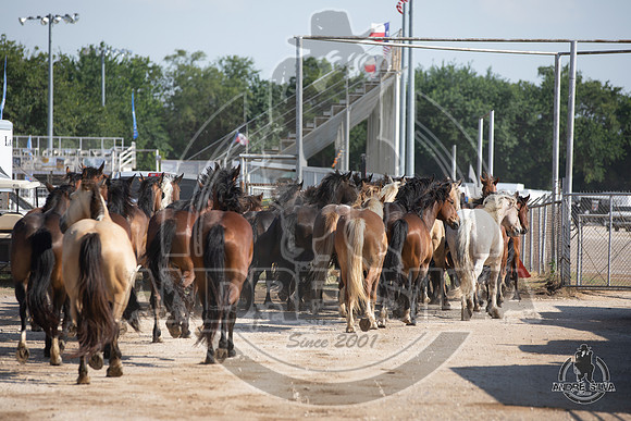 06_14_19_Cleburne__238_Silva
