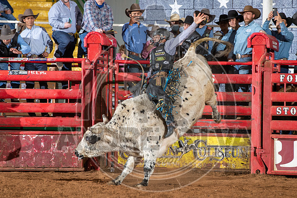 2021_Jan_02_ABBI_521