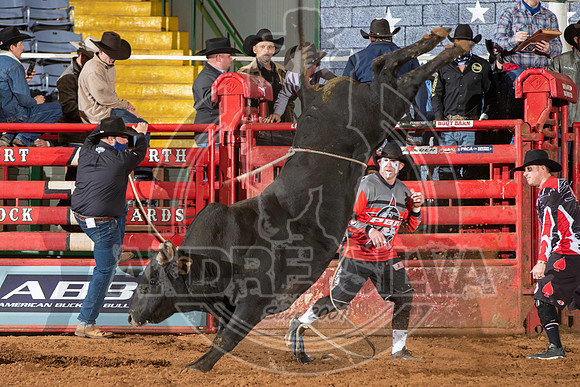 2021_Jan_02_ABBI_409